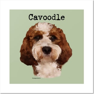 Red Cavoodle Dog Posters and Art